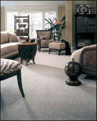 whycarpet1